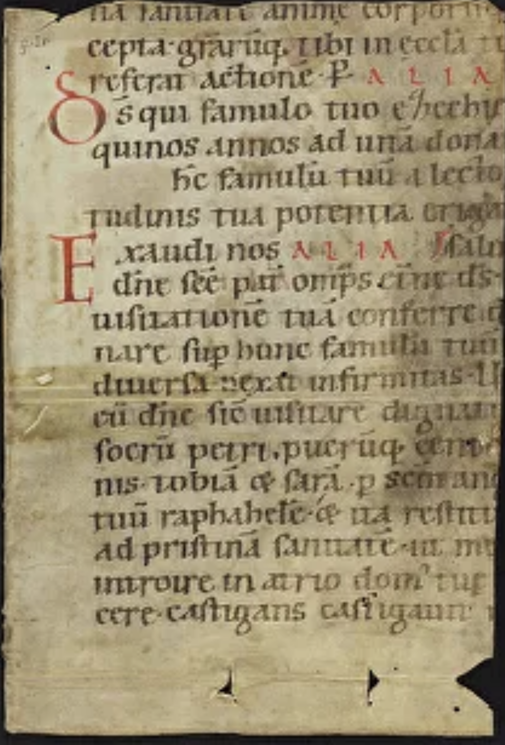 Règle primitive du Temple – manuscrit